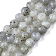 Natural Labradorite Round Beads Strands, 4.5mm, Hole: 1mm, about 96pcs/strand, 15.5 inch(G-S158-4mm)