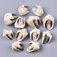 Natural Spiral Shell Beads, Undrilled/No Hole Beads, Floral White, 30~37x21~27x19~29mm(SSHEL-S258-82)