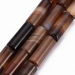 Natural Madagascar Agate Beads Strands, Column, 20x8mm, Hole: 1.5mm, about 19~20pcs/strand, 14.96~15.94 inch(G-Q463-02)