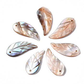 Natural Freshwater Shell Pendants, Leaf, 21~22x9~10x1.5~2.5mm, Hole: 1mm