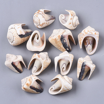 Natural Spiral Shell Beads, Undrilled/No Hole Beads, Floral White, 30~37x21~27x19~29mm
