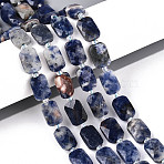 Natural Sodalite Beads Strands, Rectangle, Faceted, with Seed Beads, 11.5~12x8x4~5mm, Hole: 0.9mm, about 26~27pcs/strand, 14.57~15.08''(37~38.3cm)(G-T139-70)