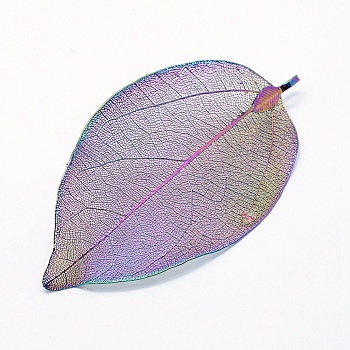 Brass Plated Natural Leaf Big Pendants, Long-Lasting Plated, Leaf, Rainbow Color, 52~86x23~46x0.5~3mm, Hole: 3x5.5mm