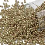 TOHO 11/0 Round Beads, Japanese Seed Beads, (1209) Opaque Avocado Pink Marbled, 2.2mm, Hole: 0.8mm, about 1110pcs/bottle, 10g/bottle(SEED-JPTR11-1209)