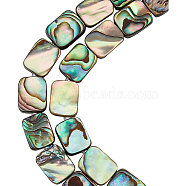 Natural Abalone Shell/Paua Shell Beads, Rectangle, 10x8x3.5~4mm, Hole: 1mm, 20pcs/box(SSHEL-BC0001-10)