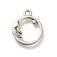 Alloy Pendants, Antique Silver Charms, Round, 19.5x16x3mm, Hole: 2mm(FIND-U023-02AS-03)