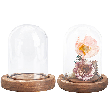 Glass Dome Cover, Decorative Display Case, Cloche Bell Jar Terrarium with Wood Base, for DIY Preserved Flower Gift, Coffee, 83x93mm, 2pcs/box