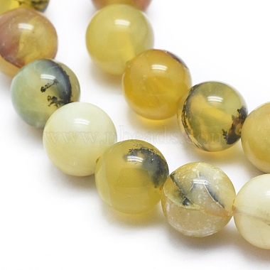Natural Yellow Opal Round Bead Strands(G-M296-02-10mm)-3
