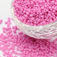 Baking Paint Glass Seed Beads, Hot Pink, 8/0, 3mm, Hole: 1mm, about 1111pcs/50g, 50g/bag, 18bags/2pounds(SEED-US0003-3mm-K2)