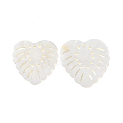 Natural Freshwater Shell Pendants, Monstera Leaf Charm, White, 31x30.5x2mm, Hole: 2mm(SHEL-H001-05)