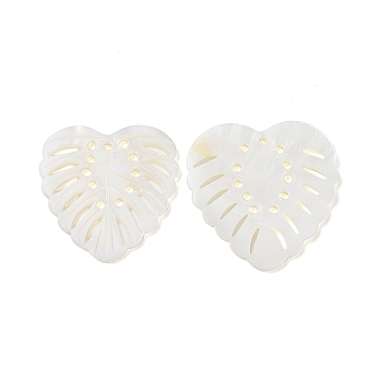 Natural Freshwater Shell Pendants, Monstera Leaf Charm, White, 31x30.5x2mm, Hole: 2mm