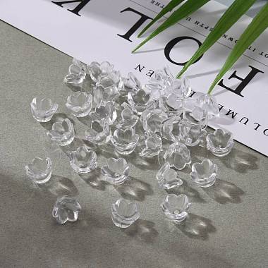 Transparent Clear Acrylic Beads(PL548-1)-6