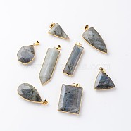 Mixed Shapes Natural Labradorite Pendants, with Golden Tone Brass Findings, 29~57x12.5~27x5~8mm, Hole: 5x4mm(G-M294-M)