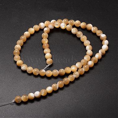 Natural Sea Shell Beads Strands(SSHEL-K013-6mm-B)-2