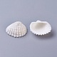 Shell Beads(BSHE-WH0001-05)-2