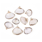 Electroplate Natural Sea Shell Pendants, Shell Shape Charms, with Iron Loops and Brass Findings, White, Light Gold, 16~23x18~25x5~8mm, Hole: 1.2~1.6mm(SSHEL-Q100-10KCG)