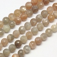 Natural Multi-Moonstone Beads Strands, Faceted, Round, 6mm, Hole: 1mm, about 65pcs/strand, 15.7 inch(X-G-J157-6mm-10)