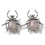 Dual-use Items Alloy Spider Brooch, with Natural Rose Quartz, Antique Silver, 42x38x12~13mm, Hole: 4.5x4mm(JEWB-C026-03H-AS)