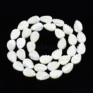 Natural Trochid Shell/Trochus Shell Beads Strands(SSHEL-N034-135B-01)-2