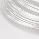 Steel Memory Wire(STAS-H021-S)-2