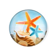 Glass Cabochons, Half Round with Ocean Theme, Colorful, Starfish, 34.5x9.5mm(GGLA-T004-11J)