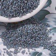 MIYUKI Delica Beads Small, Cylinder, Japanese Seed Beads, 15/0, (DBS0863) Matte Transparent Gray AB, 1.1x1.3mm, Hole: 0.7mm, about 3500pcs/10g(X-SEED-J020-DBS0863)