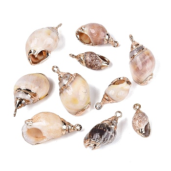Electroplate Natural Spiral Shell Pendants, Conch Shell Charms with Golden Tone Iron Loops & Brass Edge Findings, PapayaWhip, PapayaWhip, 18~28x9~15.5x7.5~13.5mm, Hole: 1.4~1.8mm