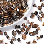 20G Handmade Lampwork Beads, Mixed Shapes, Sienna, 8~20x8~25x4.5~13mm, Hole: 1~5mm(LAMP-L087-02B)