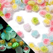 Luminous Resin Decoden Cabochons, Rose, Glow in the Dark, Mixed Color, 9.5~10x5mm(RESI-Z032-05C)