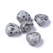 Natural Sesame Jasper/Kiwi Jasper Heart Love Stone, Pocket Palm Stone for Reiki Balancing, 20x20x13~13.5mm(G-F659-B16)