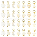 70Pcs 7 Styles Natural Freshwater Shell Pendants, Mixed Shapes, with 304 Stainless Steel Jump Rings, Golden, 16~25mm, 10pcs/style(PALLOY-YW00218)