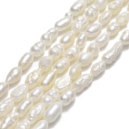 Natural Cultured Freshwater Pearl Beads Strands, Rice, Linen, 4~7x2.8~3.2mm, Hole: 0.5mm, about 64~67pcs/strand, 13.98''~14.17"(35.5~36cm)(PEAR-J006-03F-01)