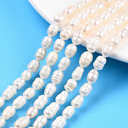 Natural Cultured Freshwater Pearl Beads Strands, Rice, Seashell Color, 7~11x5.5~6.5mm, Hole: 0.7mm, about 43~45pcs/strand, 13.70 inch~13.94 inch(34.8~35.4cm)(PEAR-N012-05J)
