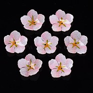 Plastic Beads, Flower, Pink, 20x21x5mm, Hole: 1.2mm(KY-N015-024A-01)