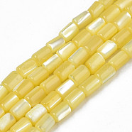 Natural Trochid Shell/Trochus Shell Beads Strands, Dyed, Column, Yellow, 4~5x3~3.5mm, Hole: 0.9mm, about 77~78pcs/strand, 15.55 inch~15.75 inch(39.5~40cm)(SHEL-N003-26-B10)