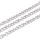 3.28 Feet 304 Stainless Steel Twist Chains(X-CHS-K001-24-3mm)-1