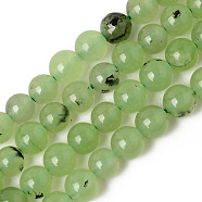 Natural Chalcedony Beads Strands, Dyed & Heated, Imitation Prehnite Color, Round, Yellow Green, 6~6.5mm, Hole: 1mm, about 64pcs/Strand, 15.16 inch(38.5cm)(G-T129-06-6mm)