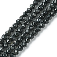 Natural Black Tourmaline Beads Strands, Faceted, Round, 3mm, Hole: 0.8mm, about 138pcs/strand, 15.35 inch(39cm)(G-F748-Y01-02)