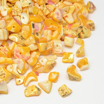 Dyed Natural Freshwater Shell Chips Beads, Shell Shards, Orange, 9~12x6~15mm, Hole: 1mm, about 900pcs/500g