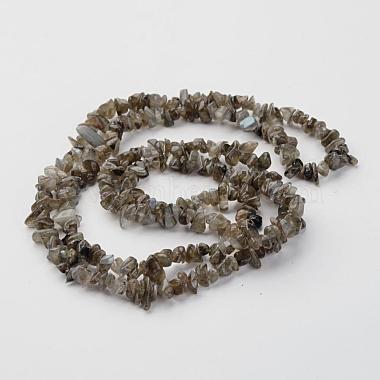 Copeaux de labradorite naturelle perles brins(F069)-3