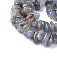 Natural Labradorite Beads Strands, Chips, 4~12x3~8x1~6mm, Hole: 1mm, about 14.9 inch~16.1 inch(38~41cm)(G-I225-15A)