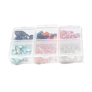 DIY Gemstone Jewelry Making Finding Kit, Including Natural Pink Opal & Rose Quartz & Smoky Quartz & White Moonstone Chips & Shell Beads, Beads: 6g/style, 6 Style, 36g/box(DIY-YW0006-66)