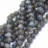 Natural Labradorite Beads Strands, Grade A, Round, 8mm, Hole: 0.8mm, about 47~50pcs/strand, 15.3~15.9 inch(39~40.5cm)(G-F602-04-8mm)