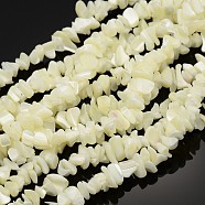 Natural Shell Beads Strands, Pearlized, Chips, White, 8~14mm, Hole: 0.5~0.6mm, about 244pcs/strand, 35 inch(SHZ001)