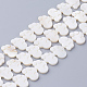 Natural White Shell Beads(X-SSHEL-Q298-07)-1