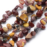 Natural Mookaite Beads Strands, Chip, 11~22x8~11x4~10mm, Hole: 1mm, 15.3 inch(39cm)(G-K220-50)