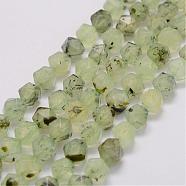 Natural Prehnite Bead Strands, Star Cut Round Beads, Faceted, 10x9x9mm, Hole: 1mm, about 40pcs/strand, 15.3 inch(39cm)(G-G970-06-10mm)