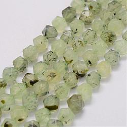 Natural Prehnite Bead Strands, Star Cut Round Beads, Faceted, 10x9x9mm, Hole: 1mm; about 40pcs/strand, 15.3inches(39cm)(G-G970-06-10mm)