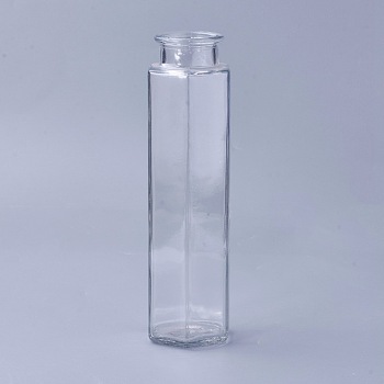Transparent Glass Drink Bottles, for Storing Juices, Beverages, Tea, Hexagonal, Clear, 19x5.5cm, Hole: 2.9cm, Capacity: 350ml(11.83 fl. oz)