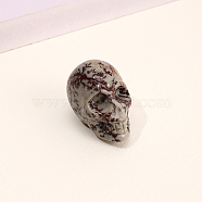 Natural Dendritic Jasper Skull Figurine Display Decorations, Energy Stone Ornaments, 40x25x27mm(G-PW0007-061E)
